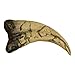 Utahraptor Dinosaur Claw (Recreation)