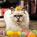 Shizhoo 30 Pieces 1.2 inches Sparkle Pom Pom Balls for Cat - Interactive Glitter Balls, Multicolor, Best as Kitten Play Toys