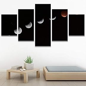 SIGNWIN 5 Panel Canvas Wall Art Astronomy &...