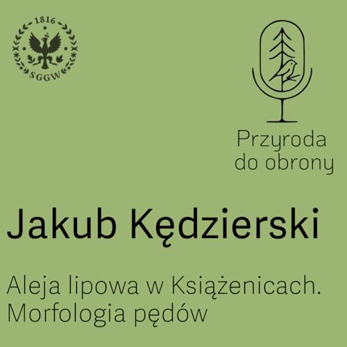 Aleja lipowa w Książenicach. Morfologia pęd&oacute;w
