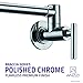 ANZZI 8.5 in. Braccia Series 4 GPM Double Handle Wall Mounted Brass Interior Pot Filler in Polished Chrome Finish | KF-AZ258CH