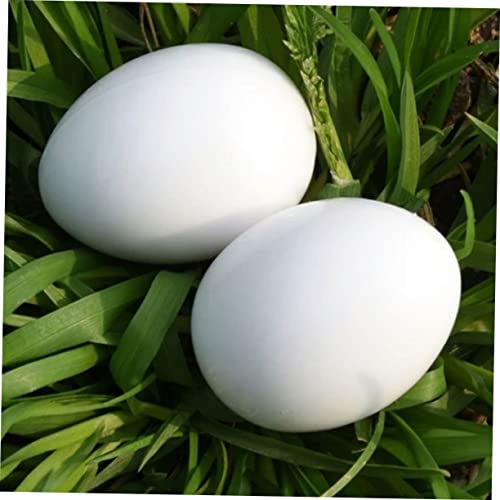 Bcoath 90 Pcs Injection Eggs Nest Parrot Induced Cockatiel Toys Supplies Stop Prop Xmm Play Photo Laying Lorikeet For Food White Racing Ringneck Fake Dove Decorative Water Simulated #TOP1