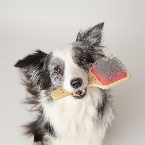 Brosse chiens chats WIDU pour prendre soin de son pelage