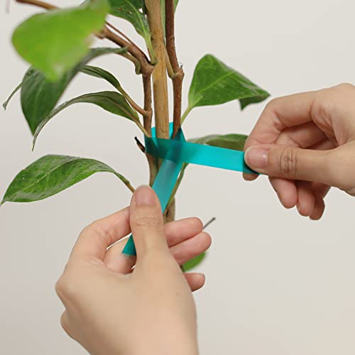 Winslow&Ross Stretch Tie Tape Roll, 1/2" 140 Ft Reusable Thicker Garden Tie Tape For Plants, Branches Flowers Tomatoes Outdoor Patio Plant Use #TOP2