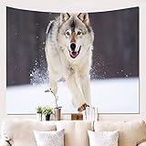オオカミ ライオン スモールタペストリー メンズ デザイン ファンタジーアニマル サイケデリック 銀河 タペストリー 壁掛け 男の子の寝室用 星と雲のタペストリー 150*200cm ブランケット 大学寮