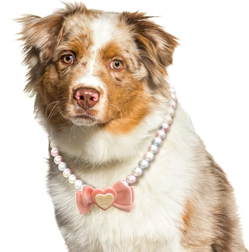 KUDES �▭�Œ��߉\�Ȍ��p�l�b�N���X:�G���K���g�ȃv�����Z�X�X�^�C���s���N�p�[���J���[�l�b�N���X���{���t���A�N�Z�T���[�������̎q���s����W�܂�(�s���N�AXL(16.1-19.6�C���`)))