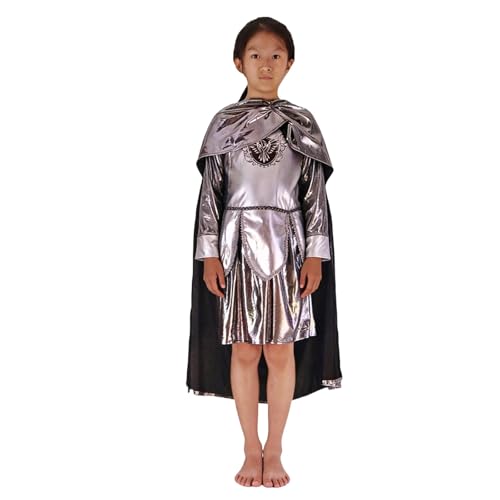 Genérico Disfraz De Cosplay - Fatos De Carnaval Elegante Disfraz de Cosplay Infantil para representaciones teatrales y Fiestas Disfraz para Cuentos Infantiles (Silver L)