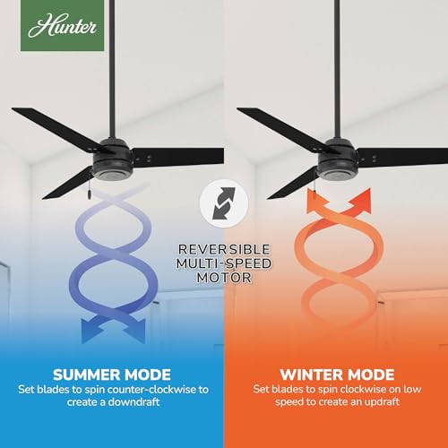 Image of Hunter Cassius, Outdoor or Indoor, Ceiling Fan, 52 inch, Matte Black