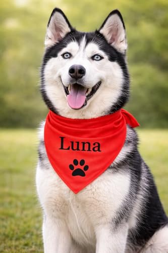 Personalisiertes Hundebandana mit Namen Individuelles Hundehalstuch mit Wunschtext & Symbol Waschbar hergestellt & personalisiert in der EU (M Uni Farbe)