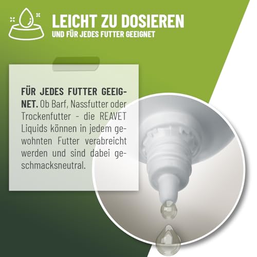 ReaVET Hustensaft Tropfen für Katzen 50ml I Bronchial Liquid I Sekundierend bei Husten & Atemwegsreizungen