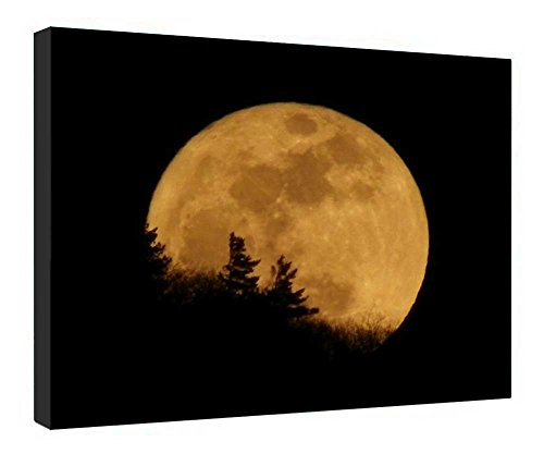 Toile pleine lune sur les arbres grand tableau de nature nocturne pour chambre adulte