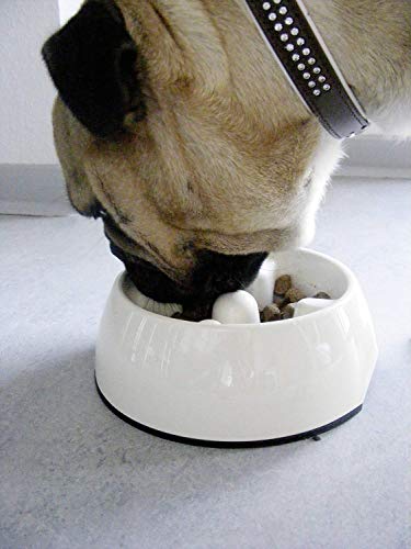 Dogit Hunde Antischling Napf, Hundenapf, 600ml, weiß