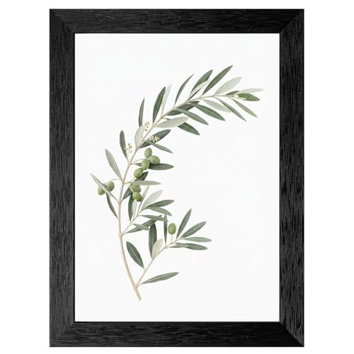 Minimalist Framed Olive Branch Wall Art, Botanical Photography in Textured