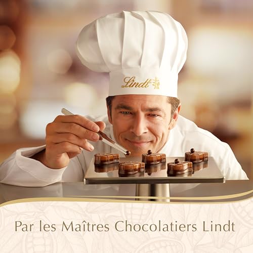 Confiserie De Assortiment Chocolats Lindt Connaisseur La Boite De - vue 8