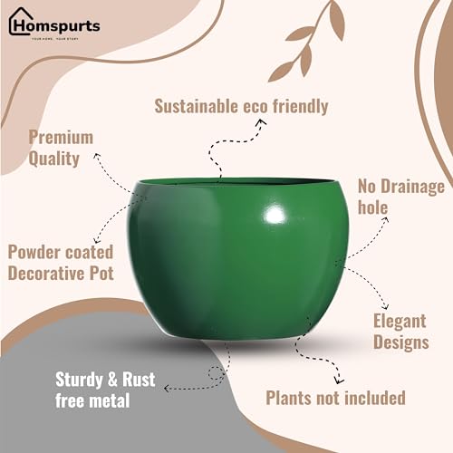 Image of Sunshine Elegant Matte Finished Tabletop Red & Green Combo Flower Pot Planter | Metal Plant Pot for Indoor Succulent Plants, Living Room, Home Decor, Office, Restaurant (Set of 2)