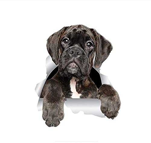 MDGCYDR Adesivo per Auto Cane Decalcomanie da Muro...