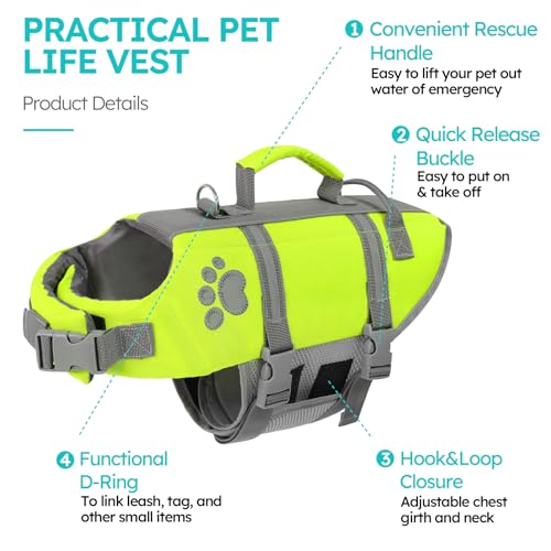 Queenmore Hundeschwimmweste Große Hunde, Ripstop Schwimmweste Hund, Verstellbare Hunde Schwimmwest Mit Griff, Reflektierende Schwimmweste Französische Bulldogge, Kajak Bootfahren, Grün, L