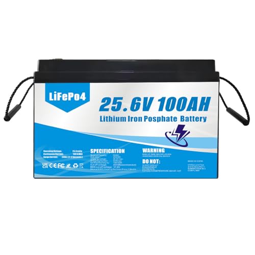 Batería LiFePO4 de 24V (25,6V) 100AH, de fosfato de Hierro y Litio, Adecuada para sustituir baterías de Plomo-ácido, energía Solar, alimentación de Emergencia, etc.