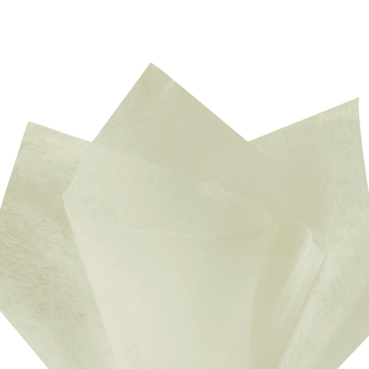 Oasis Pack of 100 Non-Woven Ivory Wrapping Sheets | Multipurpose Tissue Paper Sheets for Flower Bouquets, Gift Hampers, Wedding, Birthday, Anniversary, Arts & Crafts, DIY & Event Décor | Size 24 x 27 Inch-image-26