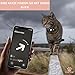 Croc-Cat® Katzenhalsband Kompatibel mit Apple AirTag, Anti-Erstickungs-Karabiner Mit Sicherheitsverschluss, Glocke & Leuchtstreifen, Halsband einzeln verkauft : GPS Air Tag Nicht enthalten