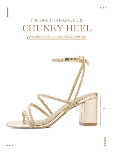 Image of LACUONE Strappy Heels for women Block Heels Square Toe Chunky Ankle Buckle Pump Heeled Sandals