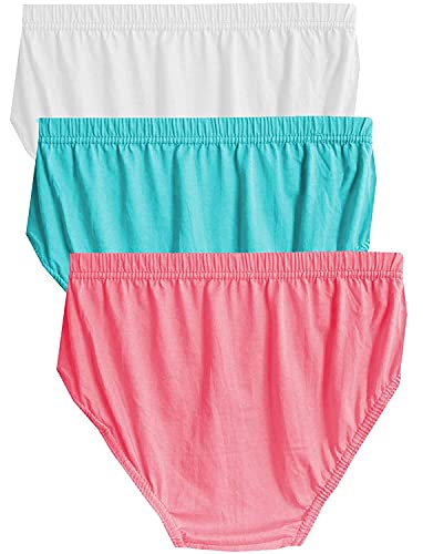 Image of THE BLAZZE C1023 Women's Cotton Lingerie Panties Hipsters Briefs Underwear Bikini Panty for Women
