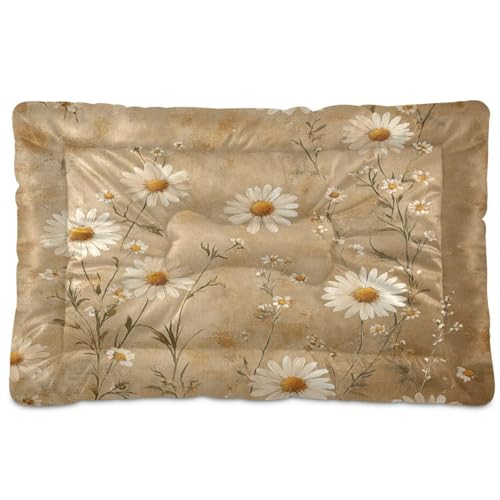 Camas Perros Grandes Marca Ewusp