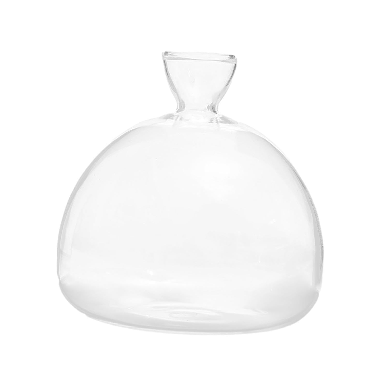 ATORSE Avocado Seed Starter Vase Avocado Bottle for Growing Kit for Birthday Families-image-33
