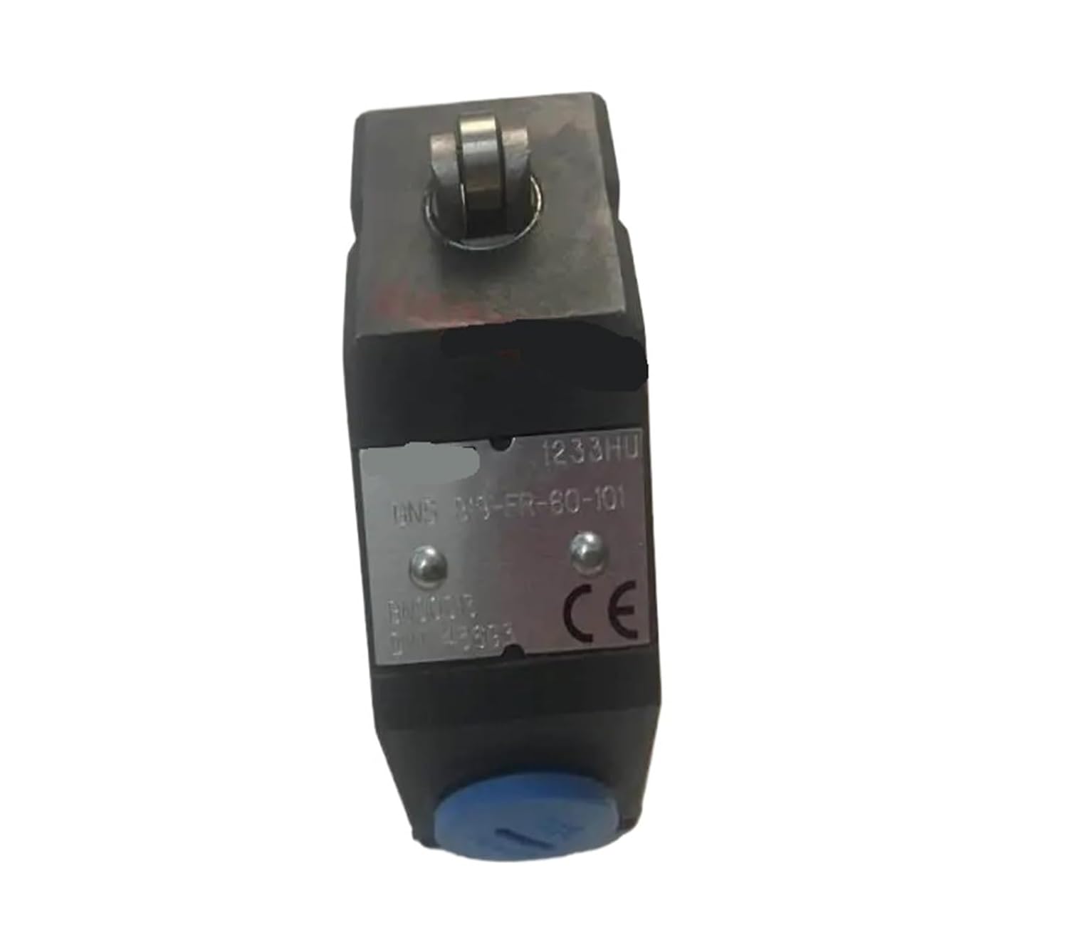 Limited Switch BNS819-FR-60-101