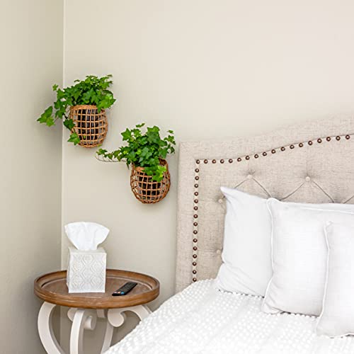 HyakuOku Onion Basket Handwoven Rattan - Chic Decor Hanging Wall Onion Container - Vintage Boho Storage for The Kitchen or Home - Bohemian Baskets with Handle - Pack of 2 Small Rattan Baskets - Image 4