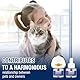 SilverChry Pheromone Katzen Diffusor Kit 2Pcs, Katzen Beruhigungsmittel, Katzen Duftstecker, Pheromone Katzen Steckdose 48ML - zur Rollige Katzen beruhigung, Reduziert Markieren, Kratzen, Verstecken