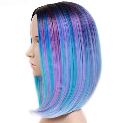 Emmet Short Bob Wig 12" Shoulder Length Soft Silk Synthetic Kanekalon Dark Roots Ombre Color Women’s Wigs with Free Wig Cap & Free Wig Stand Holder & Free Ebook (Black & Multicolor)