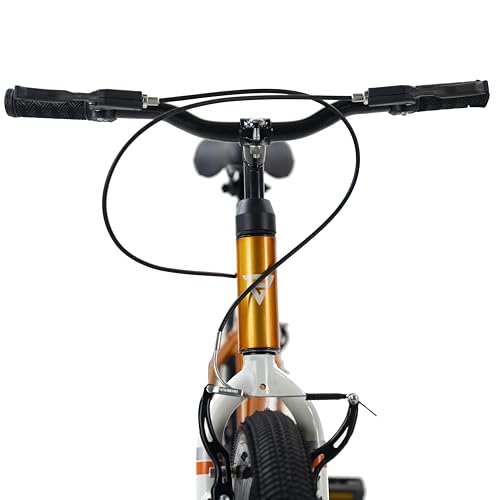 Image of ROADGIANT Showstopper, 20 T, Kids Bicycle, Single Speed, Steel Frame Cycle, Ideal for 6+ Year, Unisex, 20-inch, Dual Colour, Black (Orange)
