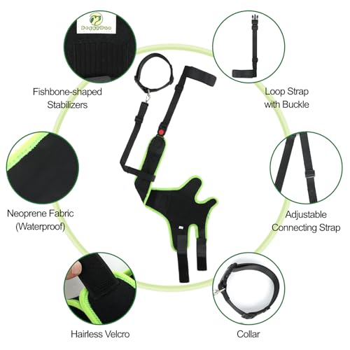 Image of Dog Knee Brace for Hind Legs with Extra Collar & Strap - Relieves Joint Pain & Discomfort, Enhances Mobility | Supports Recovery from Osteoarthritis, Torn ACL /CCL, Luxating Patella | Adjustable (S)
