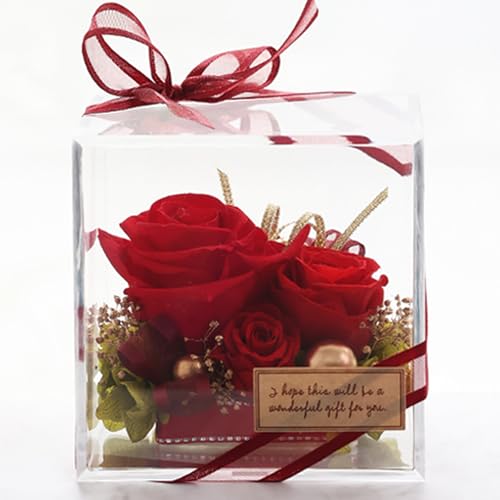 IPFA vU[uht[ AN XNEFA BOX (bh) a v[g j o j ސEj җ  Mtg ANL[u VV  lC җj LO