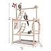 Bothyi Parrot Playstand,Parrot Bird Playground,Exercise,Activity Center Perch Perch Gym Playpen for Parakeet Budgie Finch