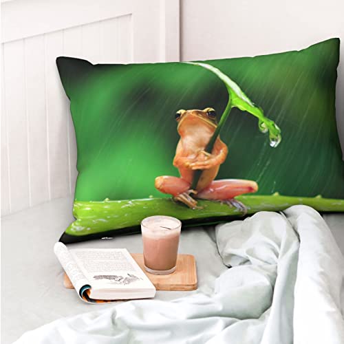 YUMEBLTD ̋ Jo[  ȍ 􂦂 h_j z R ɂ̔G hL 炩 q lGpij (tƃJG, 50x75cm)