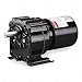 AC Gearmotor,4.1 RPM,TEFC,115V