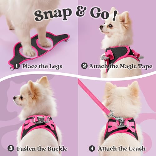 rabbitgoo Small Dog Harness and Leash Set, Step-in Pet Harness by rabbitgoo - Used condition - Image 2