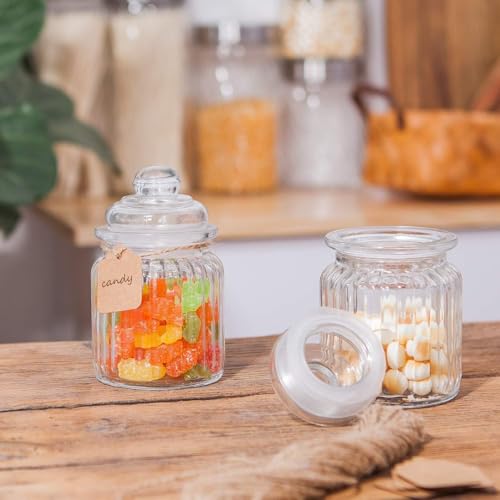 Image of Inovique 350ML Airtight Glass Pop Jar Set of 10