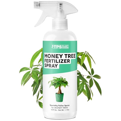 Money Tree Fertilizer Spray – Fast-Acting Mist for Rich Green Leaves & Stronger Stems (16 oz)