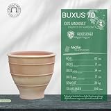 Palatina Werkstatt Duża donica XXL z terakoty, średnica 70 cm, odporna na warunki zimowe donica na kwiaty, do ogrodu, na taras, balkon, Buxus, 70 cm