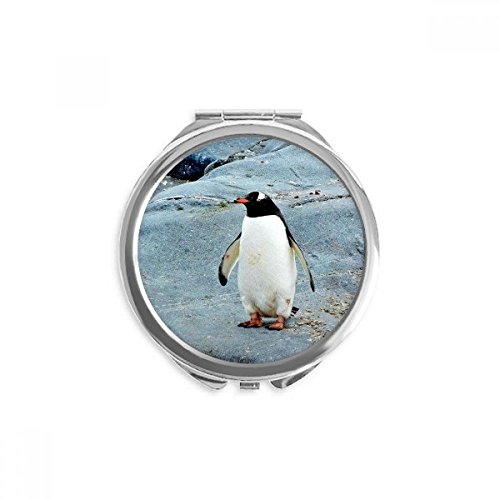 Miroir de poche pingouin antarctique cadeau idéal rond maquillage à la main pour femme