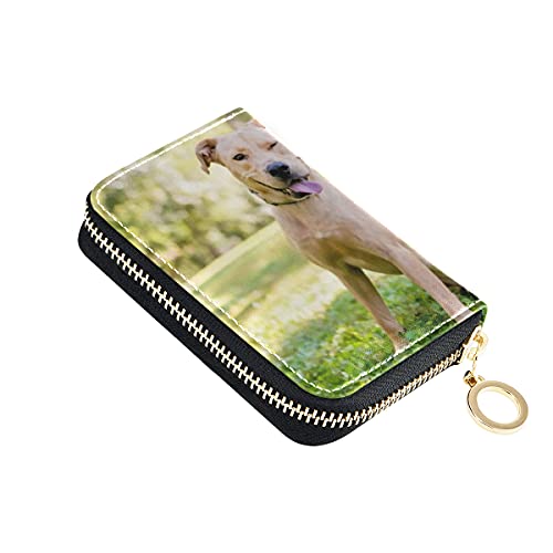 Preisvergleich Produktbild Kartenetui, Gelber Labrador Retriever Mischling Hund Kleines Leder Reißverschluss Kreditkartenetui Reisepasshülle Für Männer Frauen Mit Schlüsselbund