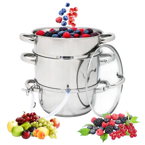 Extracteur de jus de fruits en acier inoxydable 8 l