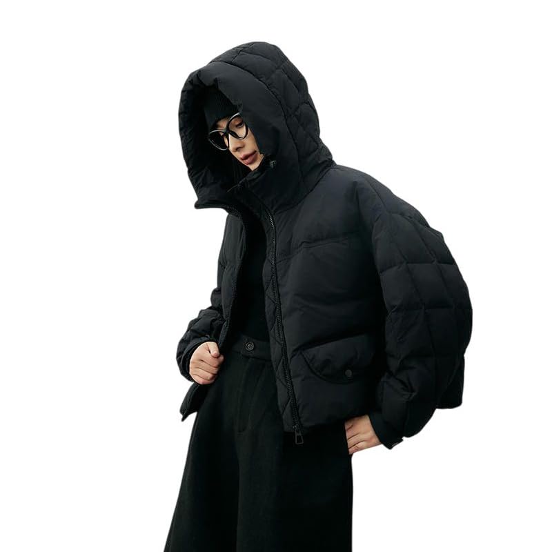 Veste d'hiver courte femme coréenne ample à capuche vêtement minimaliste chic