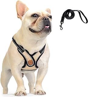 DD Dog Harness and Lead Set, Adjustable Reflective Soft Mesh Vest Harness with Leash for Puppies Dogs (Khaki/Small)