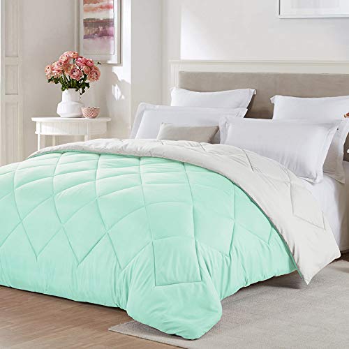 Seward Park Solid, Reversible Color Microfiber Comforter, Hypoallergenic Plush Microfiber Fill, Duvet Insert or Stand-Alone Comforter, All Season Blanket, Lightweight, Full/Queen, Mint/White