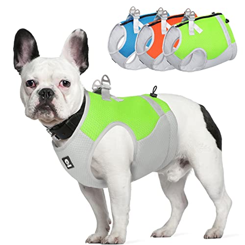JUXZH Kühlweste Für Hunde – Verstellbar Mit Reißverschluss, Reflektierend, Für Heiße Tage Beim Wandern, Training & Camping