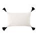 Ojia Tribal Pillow Cover Black and White Neutral Collection Throw Woven Cotton Tassel Cushion Case for Home, Party, Car, Office Outdoor Decoration (12 x 20 Inch, Cream White)